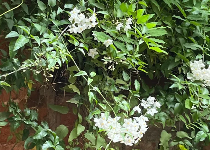 Casa Sulla Laguna Castello 3* Venetië