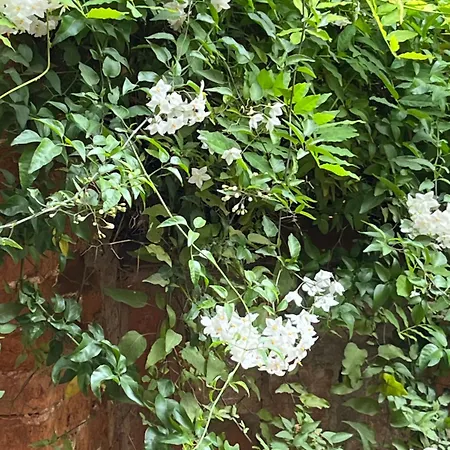 Casa Sulla Laguna Castello 3* البندقية